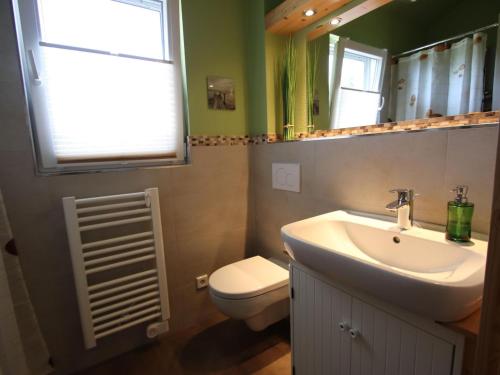 W łazience znajduje się umywalka, toaleta i lustro. w obiekcie Holiday home Tversted, Zarrentin w mieście Zarrentin