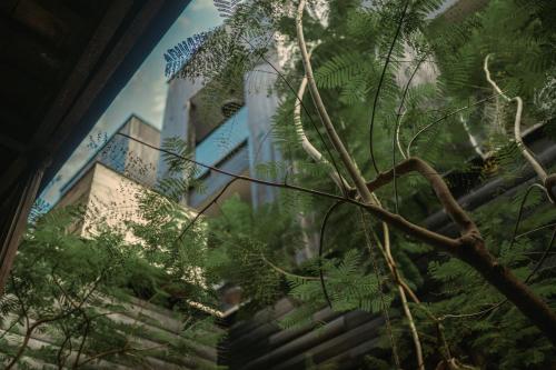 a view of a building through a plant at Elena de Cobre, Leon, a Member of Design Hotels in León