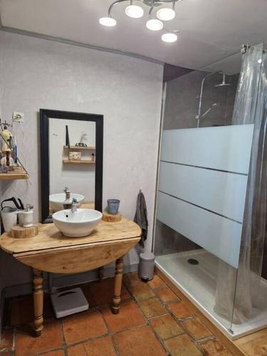une salle de bain avec un lavabo et une douche dans l'établissement Maison de campagne avec piscine dans le bordelais, à Périssac