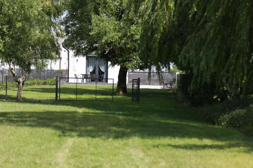 a park with trees and a picnic table in the grass at Przystań Nad Miążką in Sapowice