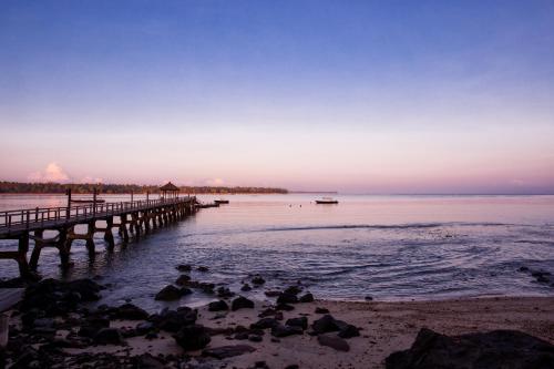 a group of birds sitting on the beach near a pier at The Oberoi Beach Resort, Lombok in Tanjung