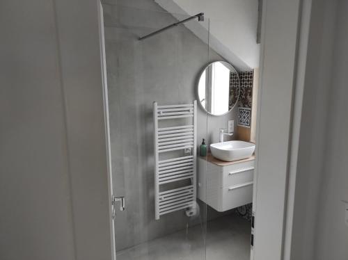 a bathroom with a sink and a mirror at Veronika,Beppo,Coolio apartments in Mirce