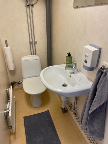 een badkamer met een witte wastafel en een toilet bij Gårdshus - best location in the center of Gränna in Gränna