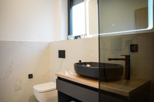 a bathroom with a sink and a toilet at Villa Istra Relax Diamond in Rebići