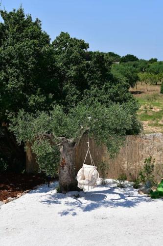a white bag hanging from a tree at Trulli di Titti - Luxury Country House in Castellana Grotte