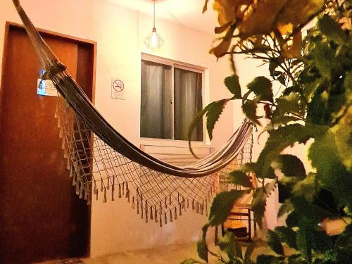 a hammock hanging in a room with a window at Di Pipa Rooms - Hidromassagem Externa in Pipa