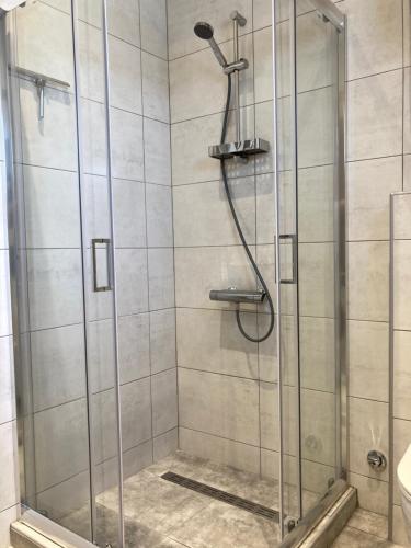 a shower in a bathroom with a glass door at Agiou Stilianou Apartments in Kallithéa