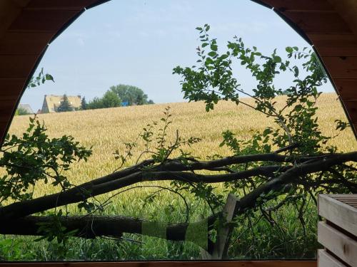 an arched window looking at a field of wheat at Designwohnung auf Gutshof mit Sauna zw. L/DD in Mügeln