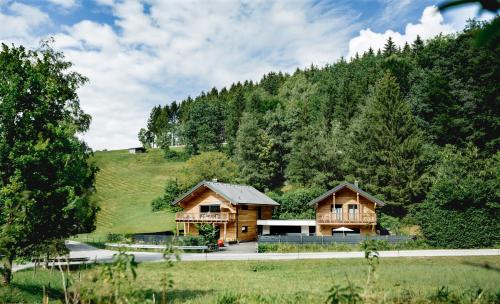 a log cabin in the middle of a mountain at Chalet 49 Nesselgraben - Ferienwohnungen aus Holz in Koppl