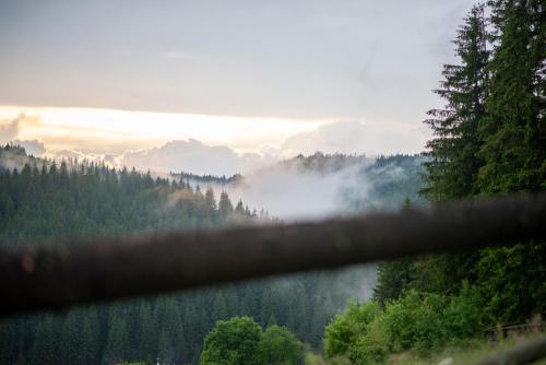 a view of a foggy valley with trees at Villa Filiak in Yablunytsya