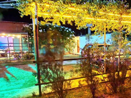 a view of a garden at night at Di Pipa Rooms - Hidromassagem Externa in Pipa