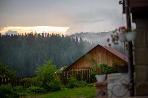 a house with a view of a mountain with a fence at Villa Filiak in Yablunytsya