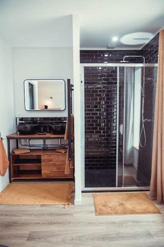 La salle de bains est pourvue d'une télévision et d'une douche en verre. dans l'établissement Surf, Skate and Wine house., à Jau-Dignac-et-Loirac