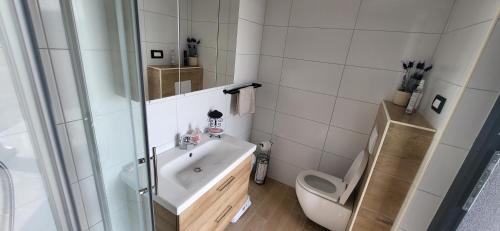 a bathroom with a toilet and a sink and a shower at Villa Hojnik in Videm pri Ptuju