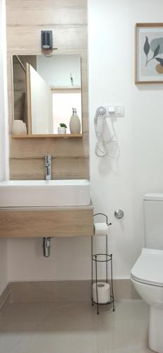 a bathroom with a sink and a mirror at Sunčani apartman 2 in Krupanj