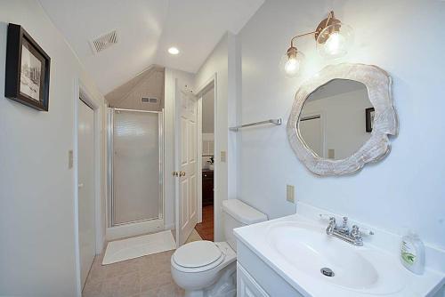 W łazience znajduje się umywalka, toaleta i lustro. w obiekcie Jackson River Estate Cozy Cottage on the River w mieście Covington