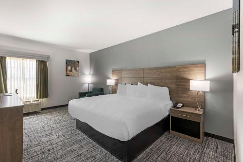 a hotel room with a large bed and a desk at Best Western Plus MidAmerica Hotel in Mascoutah