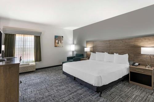 a hotel room with a bed and a television at Best Western Plus MidAmerica Hotel in Mascoutah