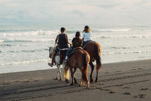 a group of people riding horses on the beach at Hotel Playa Cambutal in Cambutal