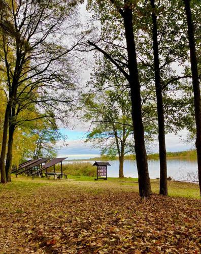 a row of benches in a park next to a body of water at Apartament nad Zalewem Zegrzyńskim in Serock