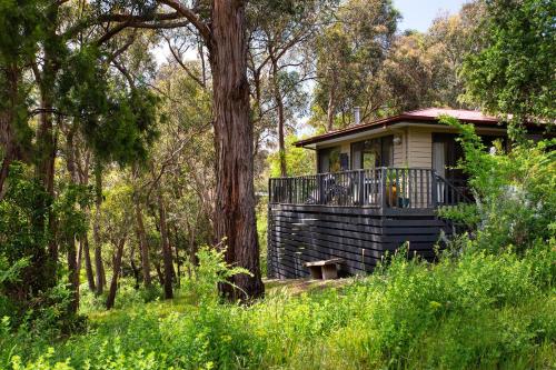 a small house in the middle of a forest at Lardi Lane- romantic getaway in Daylesford