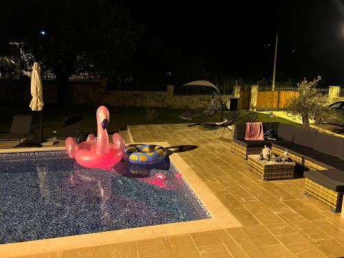 a pink plastic swan in a swimming pool at night at Green House in Virpazar