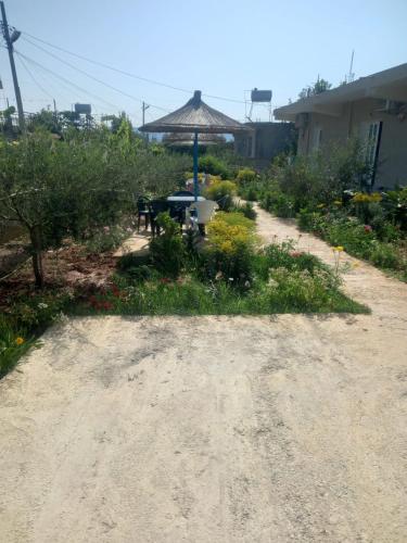 a dirt road with a picnic table in a garden at Rey Garden 2 in Vlorë