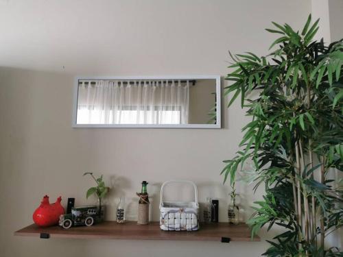 a shelf with plants and a mirror on a wall at MaaR Estudio 1, a 2 cuadras del Malecón de La Paz in La Paz