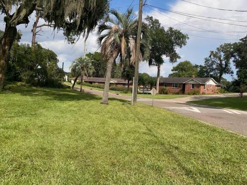 a green yard with palm trees and a house at Cozy home, King bed, 3 bedrooms,close to downtown beaches towncenter in Jacksonville