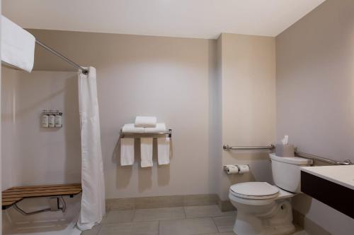 a bathroom with a toilet and a shower and a sink at Holiday Inn Express Hotel & Suites Newton Sparta by IHG in Newton