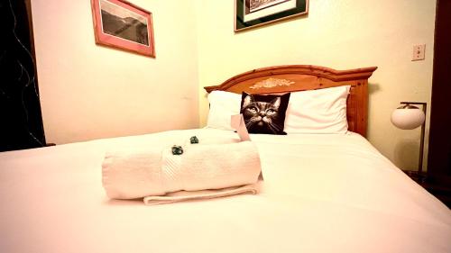 a cat is sitting on top of a bed at Hotel La More at The Bisbee Inn in Bisbee