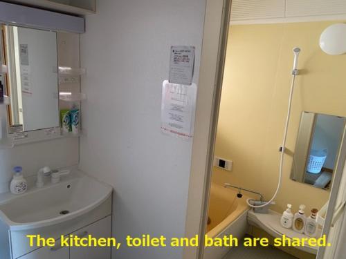 a bathroom with a sink and a toilet and a mirror at 磯ノ浦駅前ゲストハウス 月と空moon and sky in Wakayama