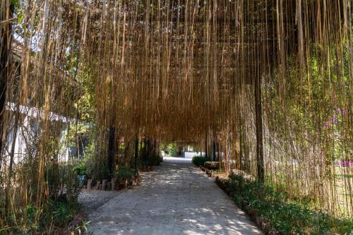 Butterfly Valley – Photos 3