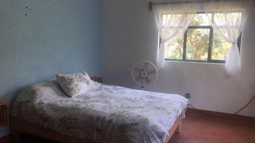 a bedroom with a bed with a fan and a window at Hostal Tribu Malinalco in Malinalco