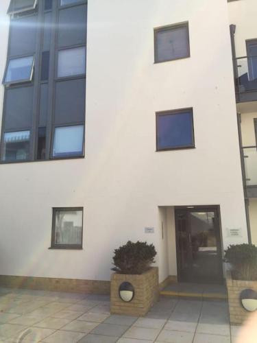 a white building with a potted plant in front of it at Avalon apartment city center of brighton & hove in Brighton & Hove