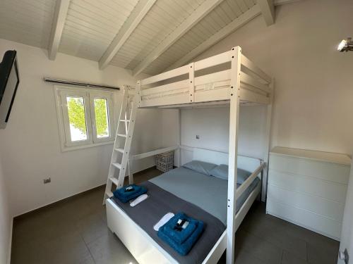 a bedroom with a bunk bed and a ladder at Ocean Waves - Alykes Beach in Drosia