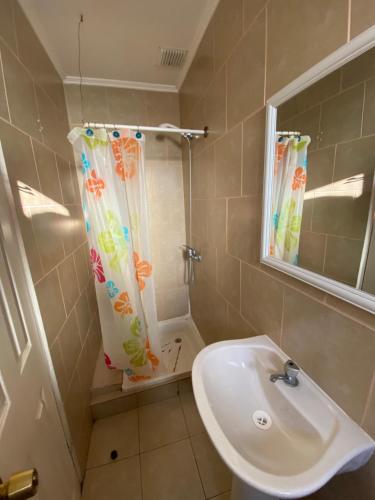 uma casa de banho com um lavatório e um chuveiro em Hostal AGUSTÍN II em Cartagena