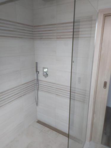 a shower with a glass door in a bathroom at Ubytování Stračenská in Štětí