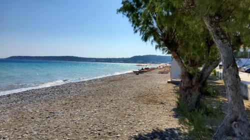 a beach with a tree and the ocean at orange in Ialyssos