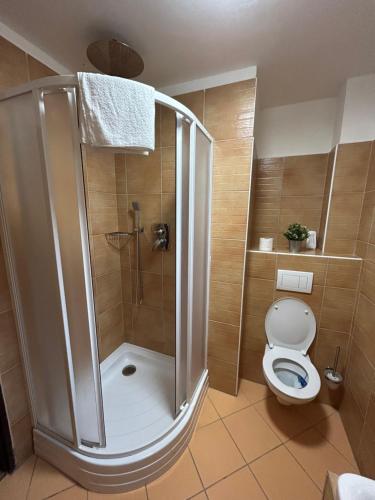 een badkamer met een douche en een toilet. bij Penzion u Fika in Ostrava