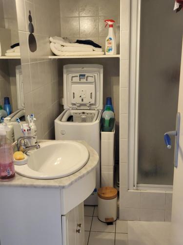 une salle de bain avec un lavabo et une machine à laver dans l'établissement Au bord de l'eau rend la vie à Arcachon, à Arcachon