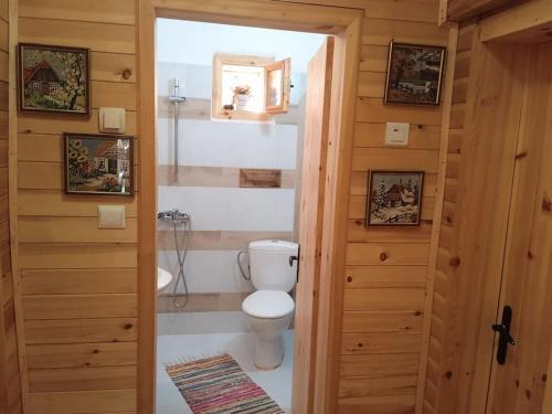 a bathroom with a toilet in a wooden room at Ижата - топлина и уют in Borovitsa