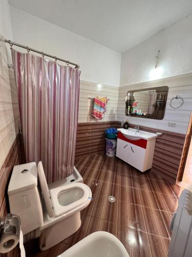 a bathroom with a toilet and a sink at Holiday Home in Vlorë