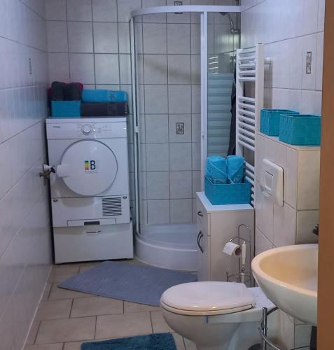 a bathroom with a toilet and a sink at Ferienwohnung Perse in Lengenfeld