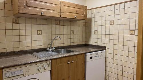 uma pequena cozinha com um lavatório e uma máquina de lavar louça em Apartamentos Casa Lola rodeados de montañas y rios em Beceite