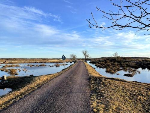 a road in a field with water around it at Stuga med panoramautsikt, paradis för fågelskådare och vandrare, självstäd efter besök in Mörbylånga