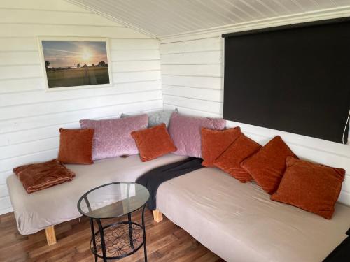 a couch with pillows and a table in a room at Stuga med panoramautsikt, paradis för fågelskådare och vandrare, självstäd efter besök in Mörbylånga