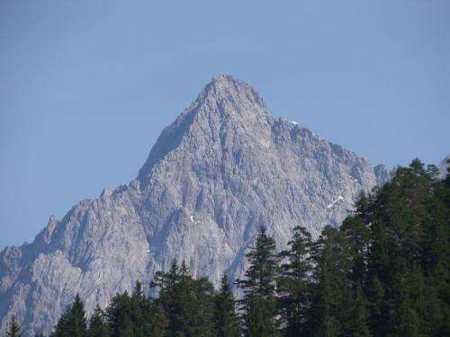 a tall mountain with trees in front of it at Gästehaus Elisabeth in Radstadt