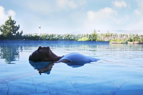 a dolphin swimming in a body of water at Hotel Vier Jahreszeiten am Schluchsee in Schluchsee