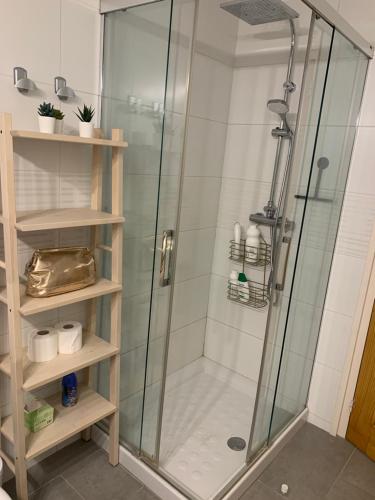 ducha con puerta de cristal y estanterías en el baño en Rocamaura B 5/4, en L'Estartit